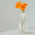 Flap9 Borosilicate Glass Flower Vase for Home, Office & Table Decoration FLAP9