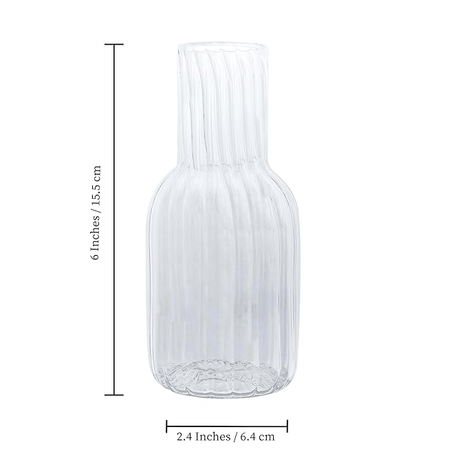 Flap9 Borosilicate Glass Flower Vase for Home, Office & Table Decoration FLAP9