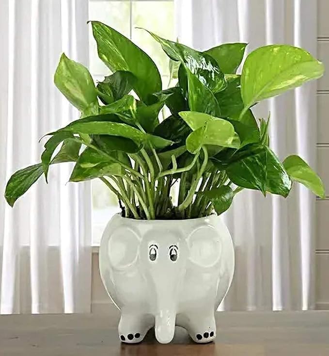 Flap9 Ceramic Elephant Planter Pot for Indoor Outdoor Garden Décor