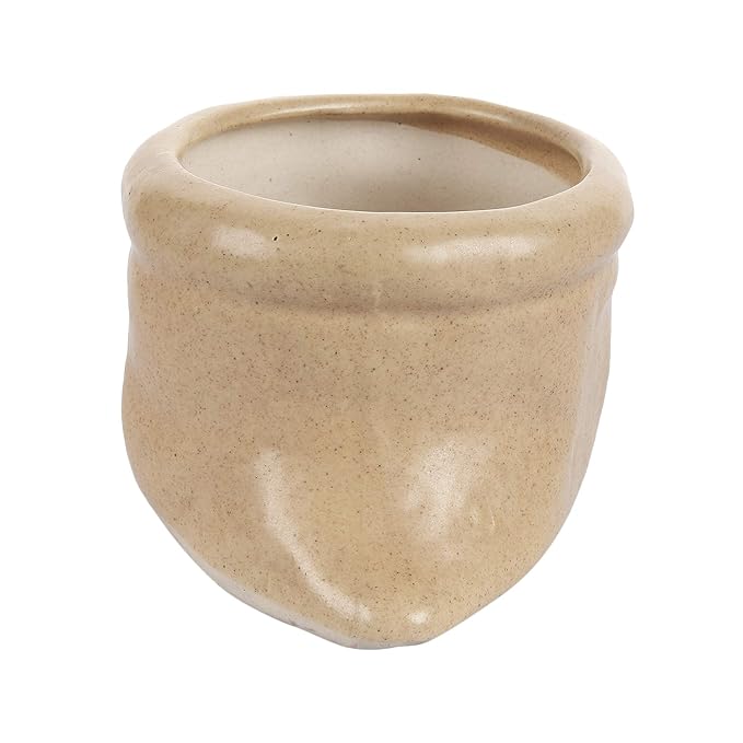 Ceramic Planter – Self-Watering Glossy Ceramic Planter Pot FLAP9