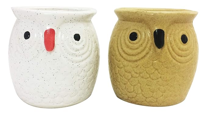 Flap9 Ceramic Flower Vase Planter Pot for Indoor Outdoor Garden Balcony Office Table Decor – Lightweight Nursery Gamla
