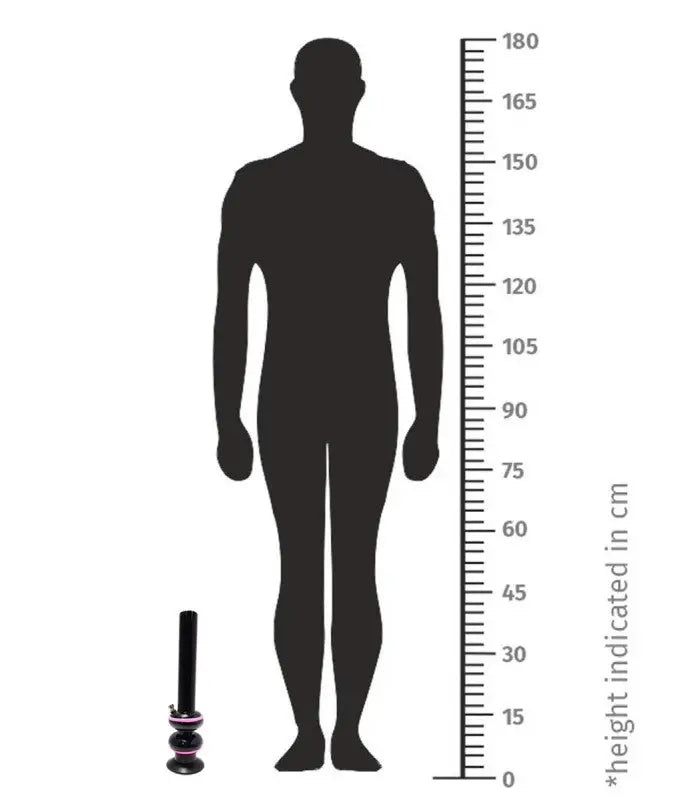 side view showing double bulb structure